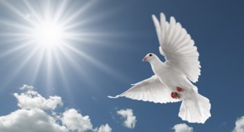 Obituary of Raymond Loyed