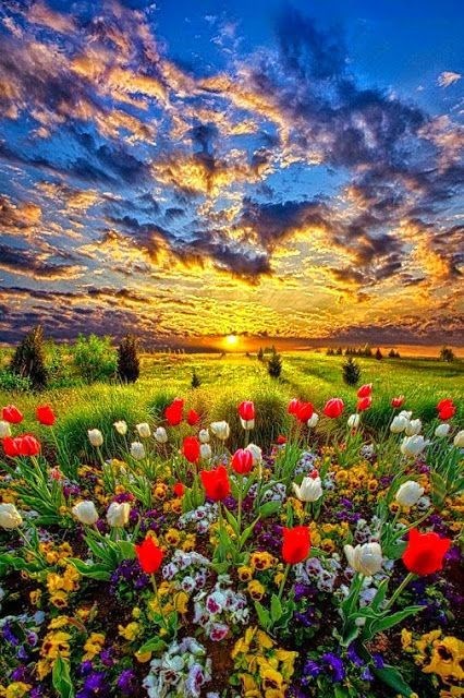 Obituario de William Hagler Roth