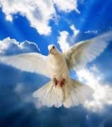 Obituary of A Night Of Remembrance