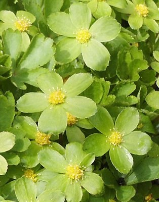 Obituary of Kathryn Owens