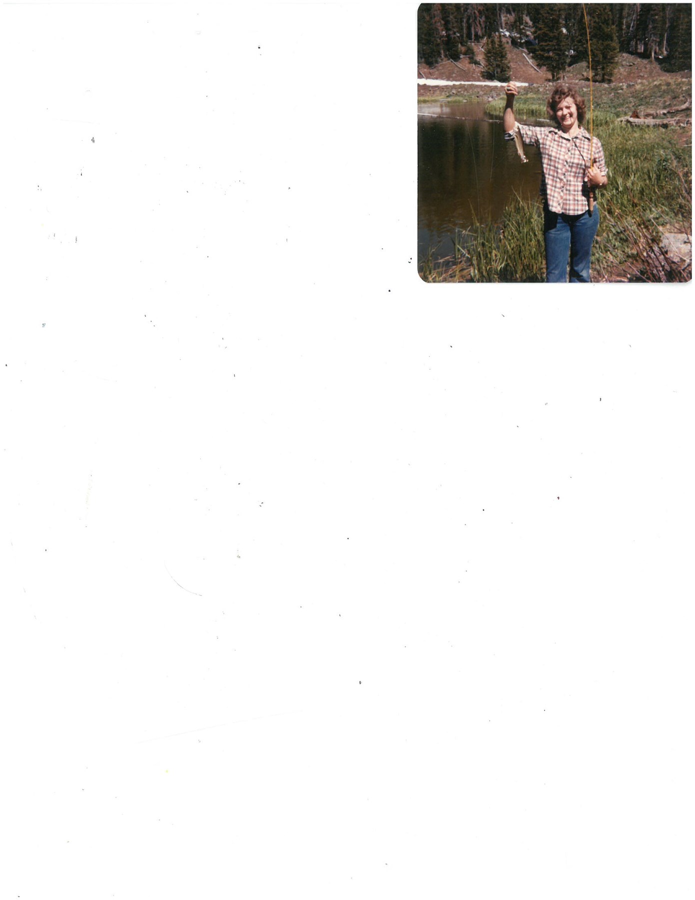 Obituary of Dianne Kay Waugh