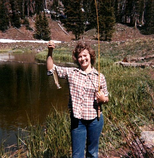 Obituary of Dianne Kay Waugh