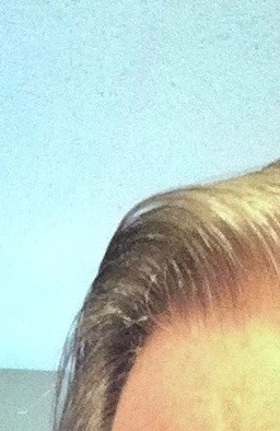 Nathan J. Bernier Obituary Southington, CT