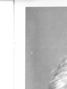 Patricia Beers Obituary - Grosse Pointe Woods, MI