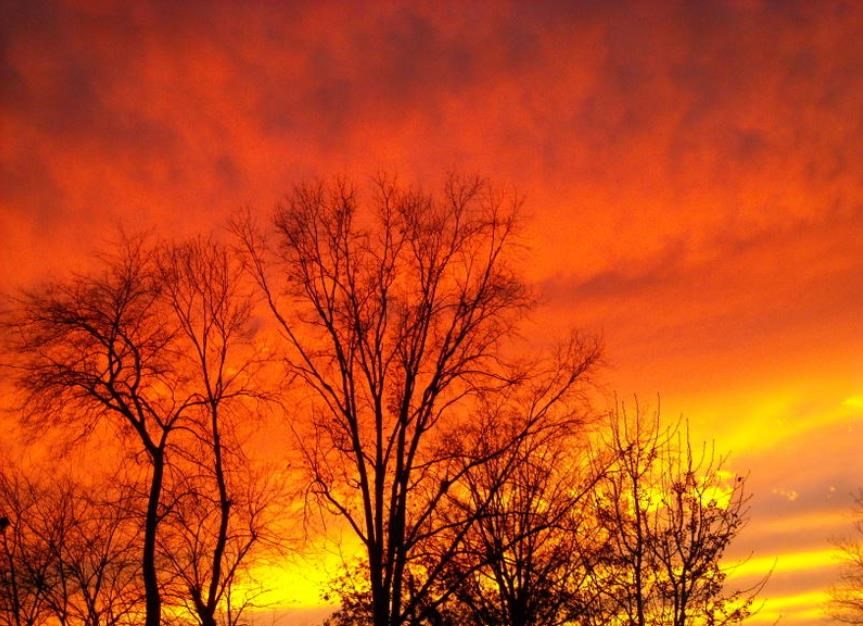 Obituary of Luis Jose Cruz