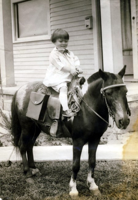 Obituary of Winnie May Fox