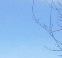 Gary Barr Obituary Colorado Springs, CO