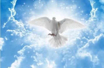 Obituary of Elodia Hernandez Guzman