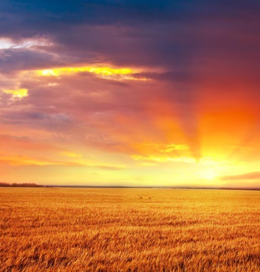 Obituary of Raul Moreno Sanchez