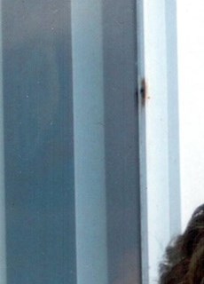 Nancy Elkins Obituary Morristown, TN