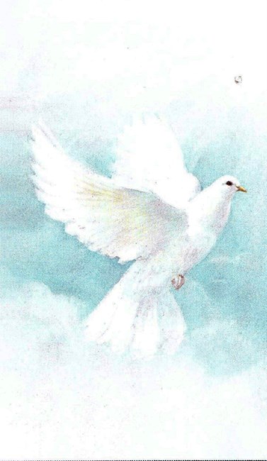 Obituary of Bernadette Hallisey