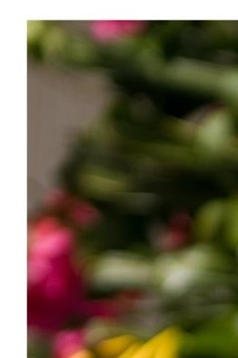 Dai Nguyen Obituary San Diego, CA