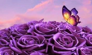 Obituario de Kwok Lung So