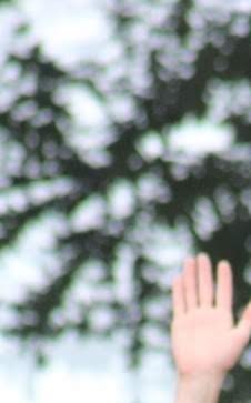 Casey Rentfrow Obituary - Clinton Township, MI