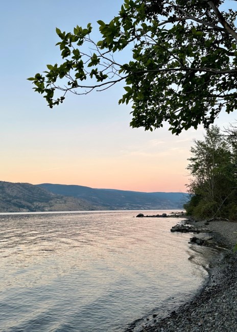 Obituary of Kelvin Wai-Chin Choy