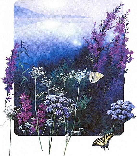 Obituary of Barbara Kaye Mendoza