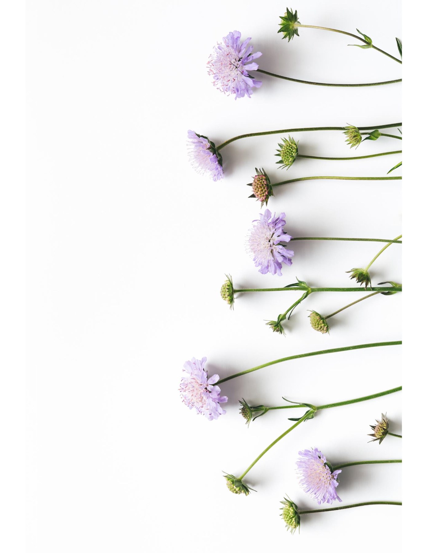 Obituary of Doreen Mary Simpson