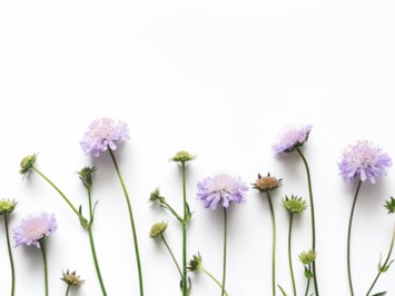 Obituary of Doreen Mary Simpson