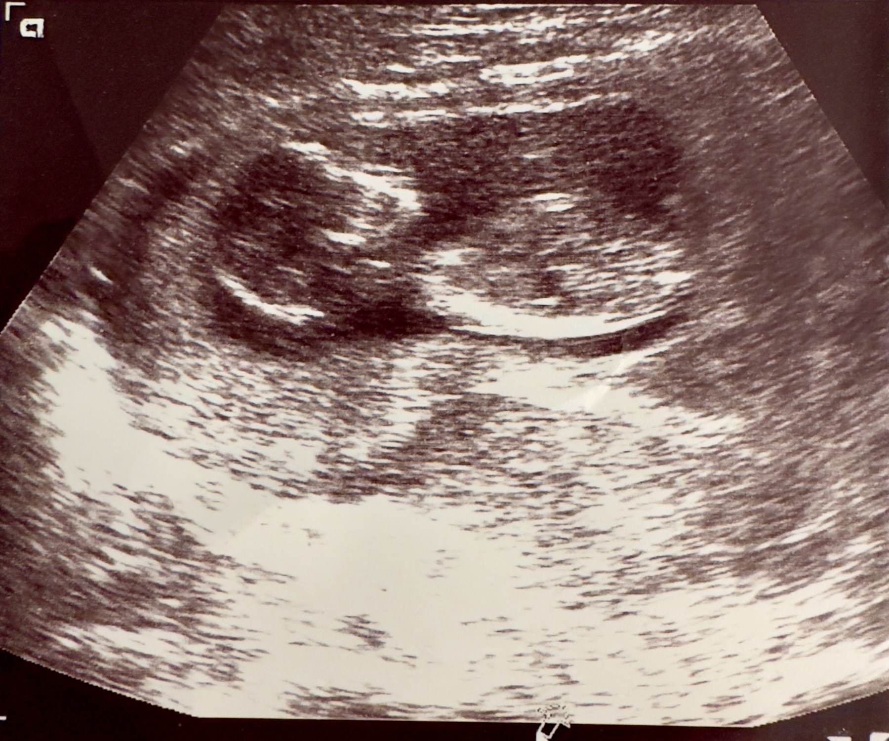 Obituary of Rafael Cortez Cernas