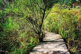 Obituary of Gerald Joseph Kozak