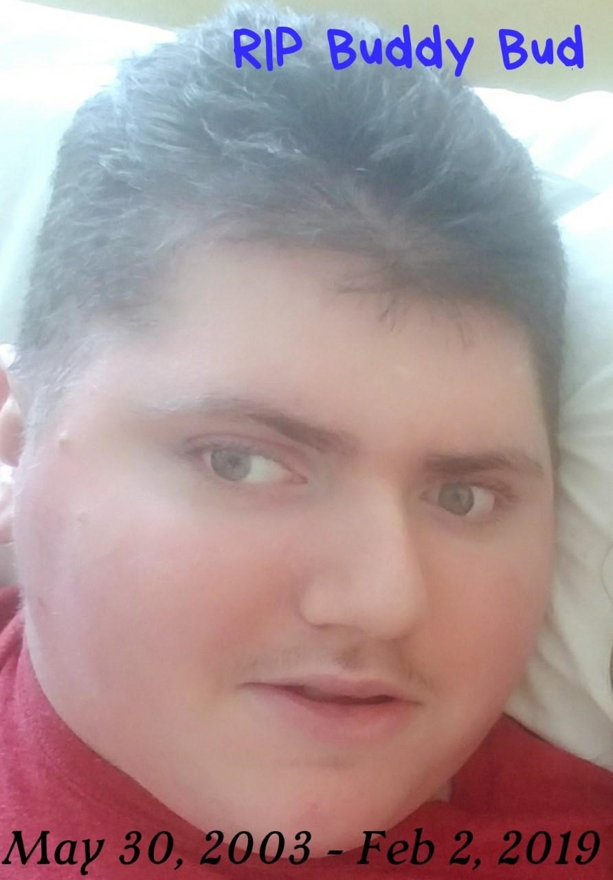 Obituary of Ian Blake Oswald