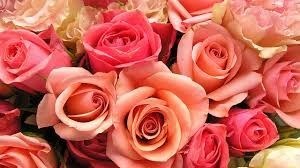 Obituary of Natalie Rose Belz