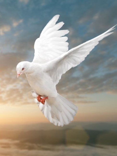 Obituary of Derek Wayne McLendon