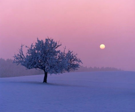 Obituary of Mary Ann Roberts