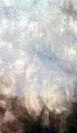 Charles Ward Obituario Greenville, SC