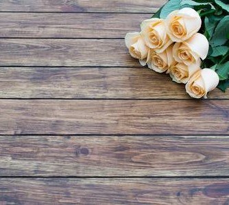 Obituary of Paula Stephens