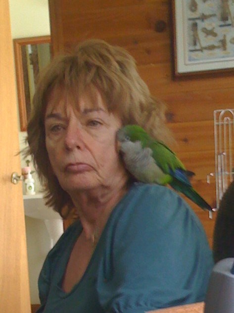 Obituary of Linda L Allfrey