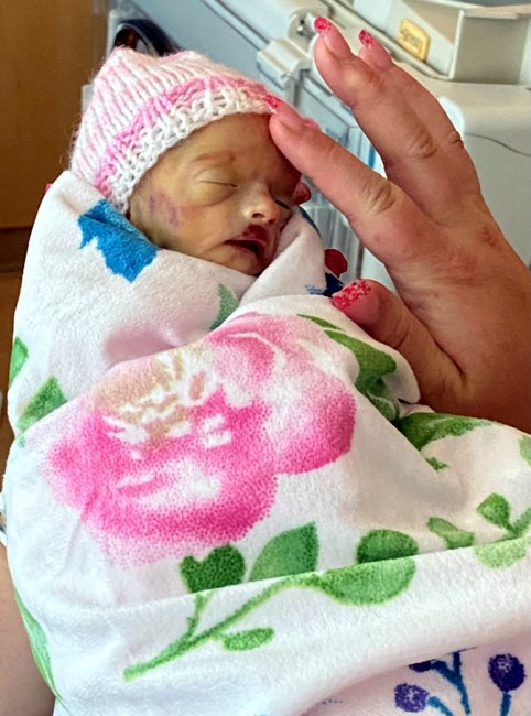 Obituary of Ellie Brooks Lapenas