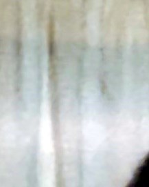 Jeanette Jean Reid Obituary - Auburn Hills, MI