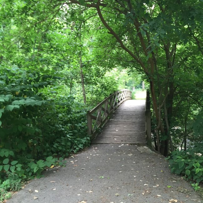 Obituary of Stephen Edward Moore