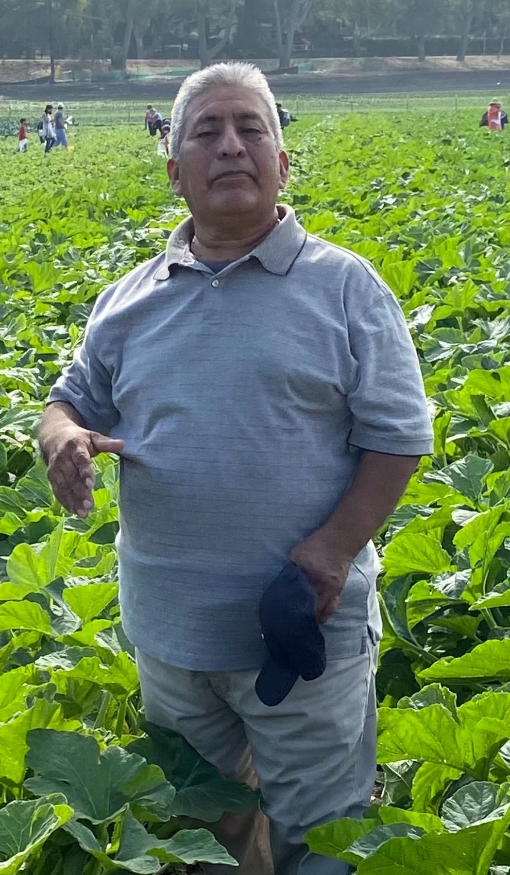 Obituary of Froylan Luna Santiago