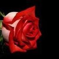 Obituary of Carrie Lee Warren