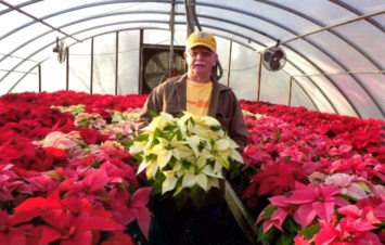 Obituary of Larry Stephen McCauley