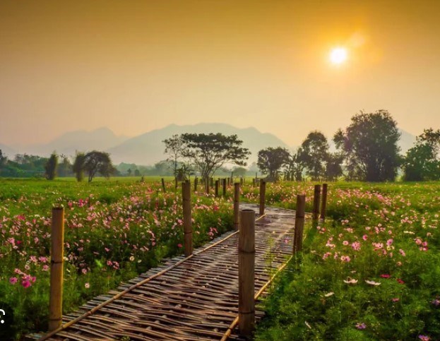 Obituary of Mr. Alvin Eugene Rose