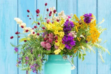 Obituary of Yrma Gonzalez Mato