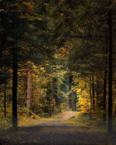 Obituary of William George Kuepper III