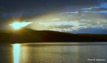 Obituary of Haydee N. Estevez