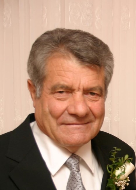 Obituary of Armando D'Amico