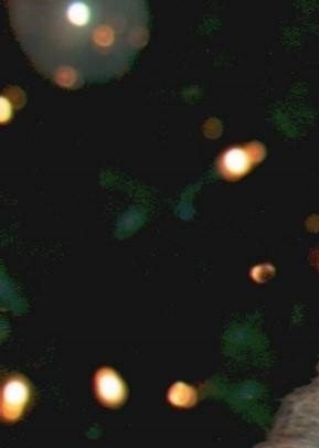 Geraldine Edwards Obituary Murfreesboro TN geraldine-edwards-obituary-murfreesboro-tn