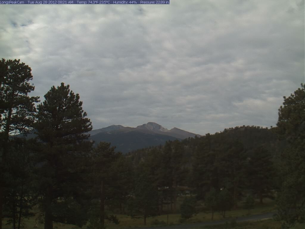 Obituary of Jon J. Reed