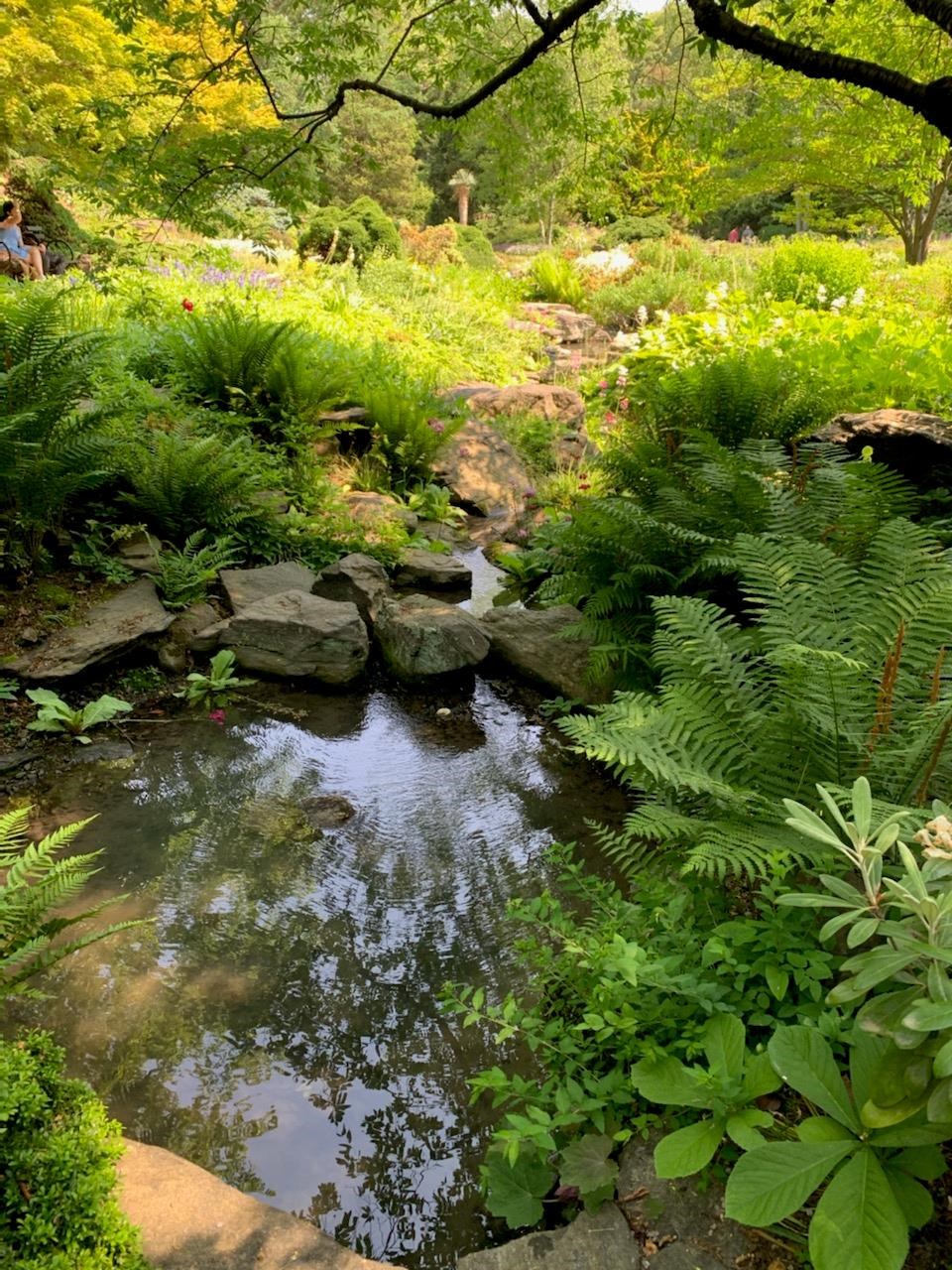 Obituary of Paula Lynn Samuel