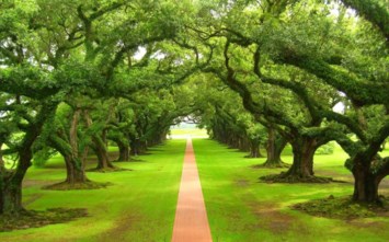 Obituary of Carlos Emilio Hernandez-Castro