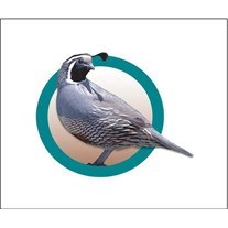 Obituary of Patrick Reynolds