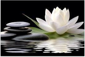 Obituary of Pauline Kit Yuk Leung