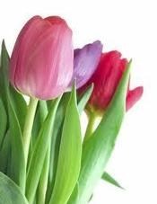 Obituary of Emma Wiggins