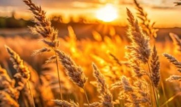 Obituary of James LeRoy Brummett